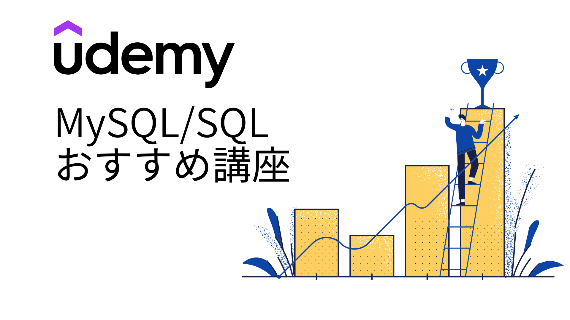MySQL/SQL Udemy